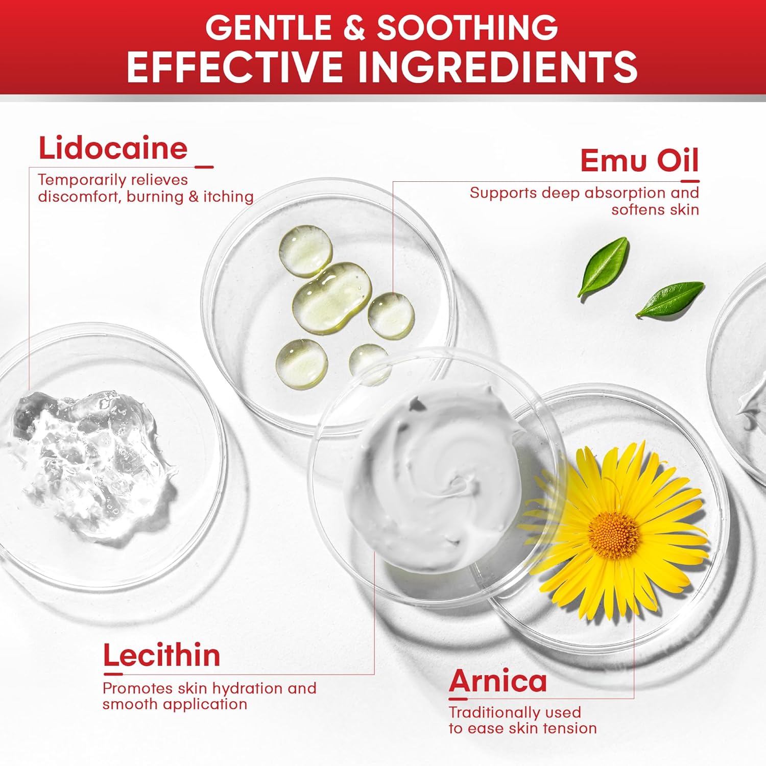 Treatonic 5% Lidocaine Numbing Cream 4oz