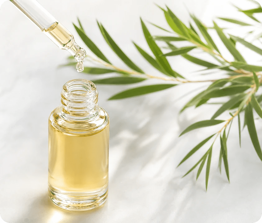Tea Tree Oil
